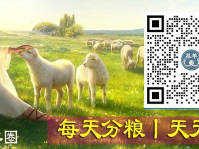 道-格第360讲丨末了唯 一的坚固避-难所！