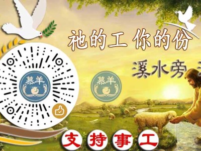 焦老丨更确的预知，如同灯照在暗处